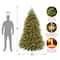 7.5 ft. Pre-Lit Dunhill® Fir Full Artificial Christmas Tree, Dual Color® LED Lights